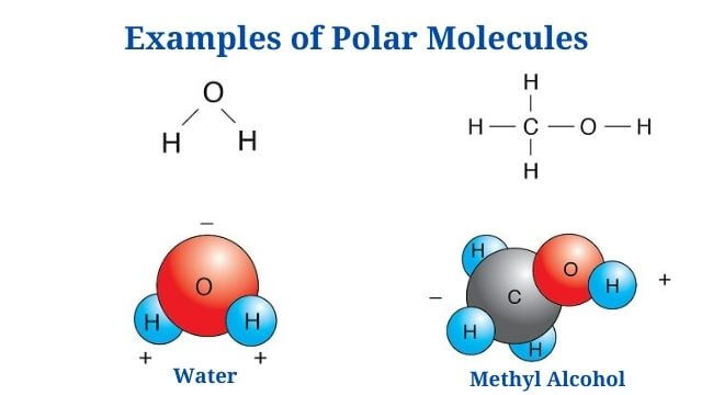 Polar Vs Nonpolar Molecules: Definition, Differences, Examples - PhD Nest