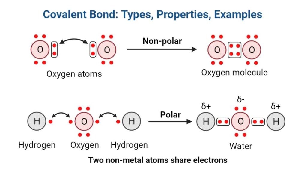 covalent-bond-meaning-types-properties-examples-phd-nest