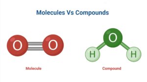Molecules Vs Compounds: Definition, Differences, Examples - PhD Nest