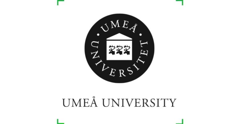 Postdoctoral Fellowship at Umea University, Sweden 