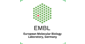 Postdoctoral Fellowship at European Molecular Biology Laboratory (EMBL), Germany