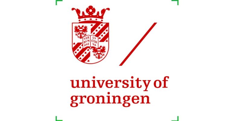 Postdoctoral Fellowship at University of Groningen, Netherlands